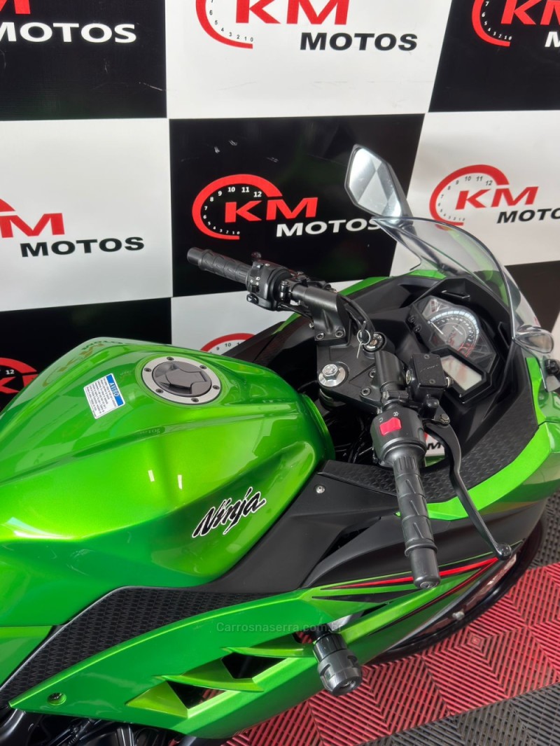NINJA 300 ABS LIMITED EDITION - 2024 - PORTãO