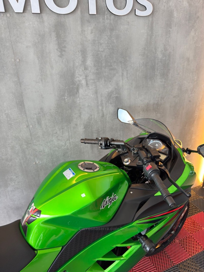 NINJA 300 ABS LIMITED EDITION - 2024 - PORTãO