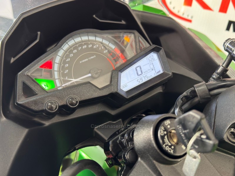 NINJA 300 ABS LIMITED EDITION - 2024 - PORTãO
