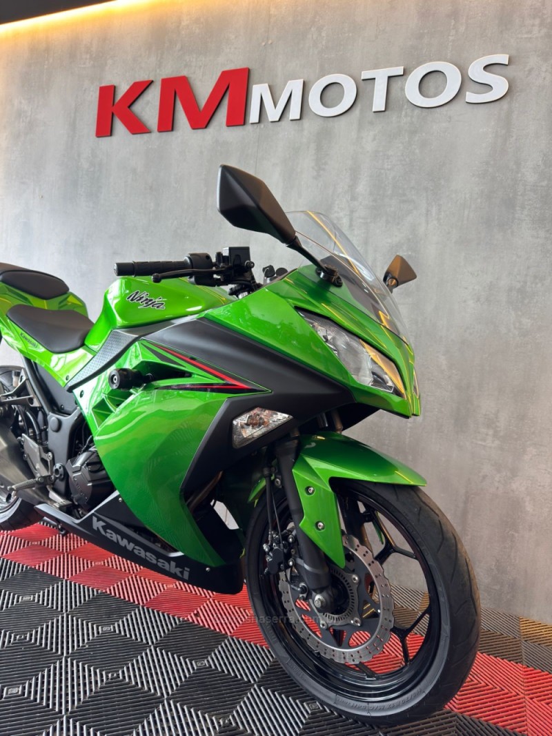 NINJA 300 ABS LIMITED EDITION - 2024 - PORTãO
