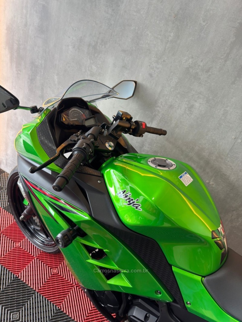 NINJA 300 ABS LIMITED EDITION - 2024 - PORTãO