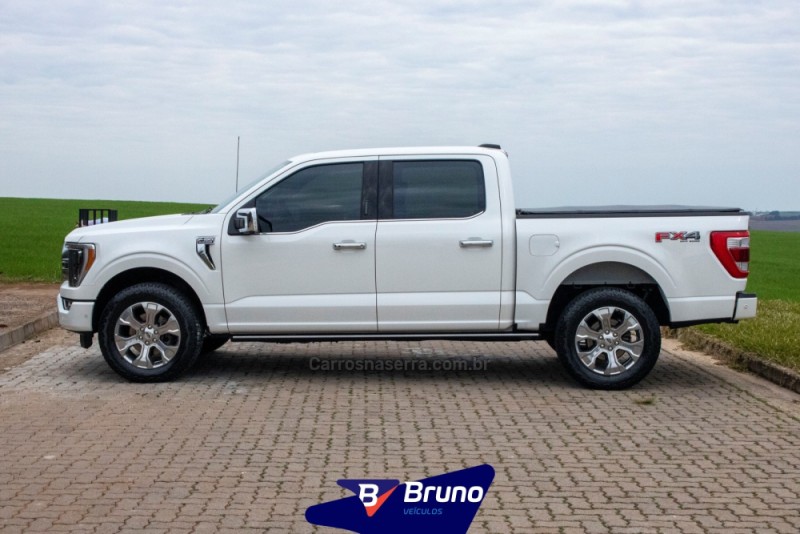 F-150 5.0 PLATINUM 4X4 V8 16V GASOLINA 4P AUTOMÁTICO - 2023 - PALMEIRA DAS MISSõES