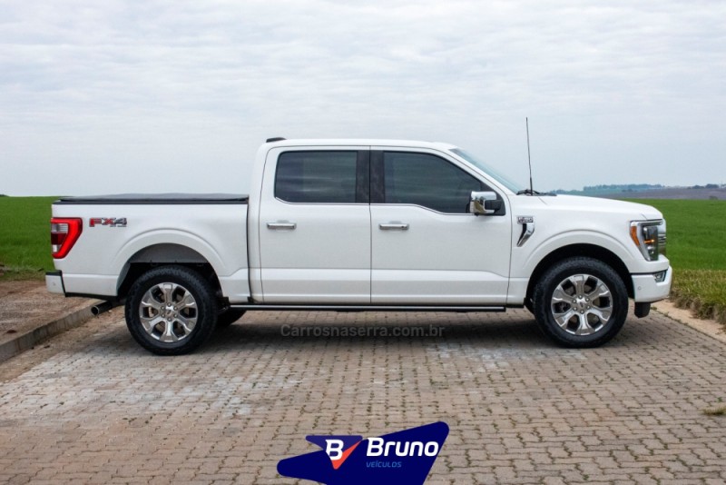 F-150 5.0 PLATINUM 4X4 V8 16V GASOLINA 4P AUTOMÁTICO - 2023 - PALMEIRA DAS MISSõES