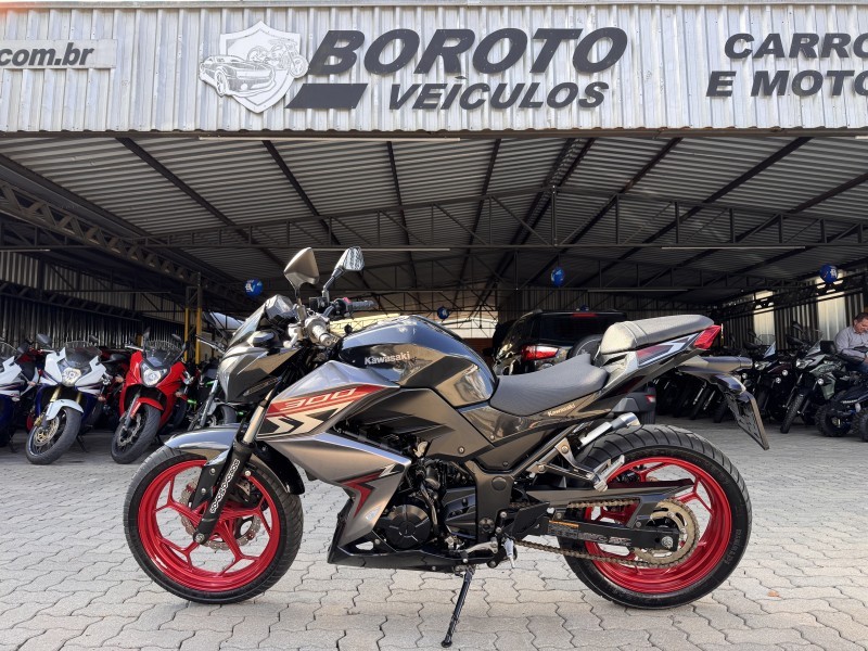 z300  2019 bento goncalves