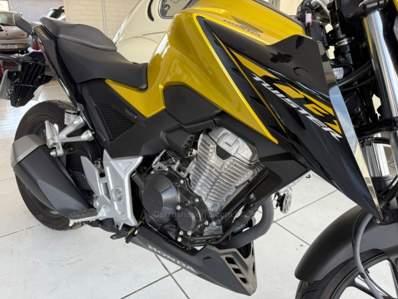 CB 300F TWISTER CBS - 2024 - VACARIA
