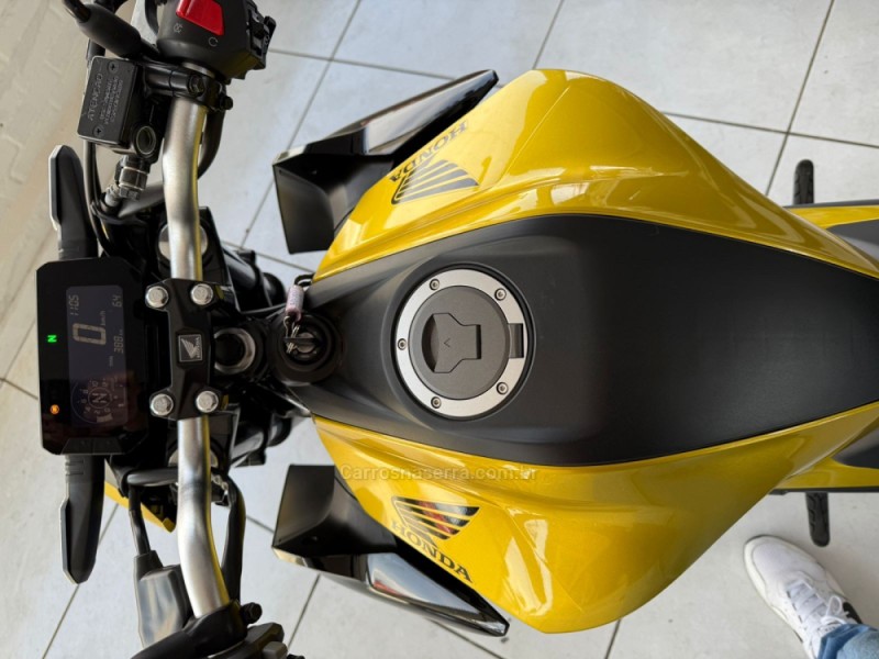 CB 300F TWISTER CBS - 2024 - VACARIA