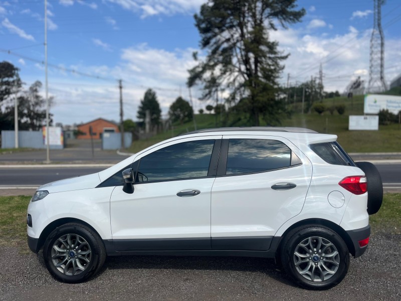 ECOSPORT 1.6 FREESTYLE 16V FLEX 4P MANUAL - 2014 - FARROUPILHA