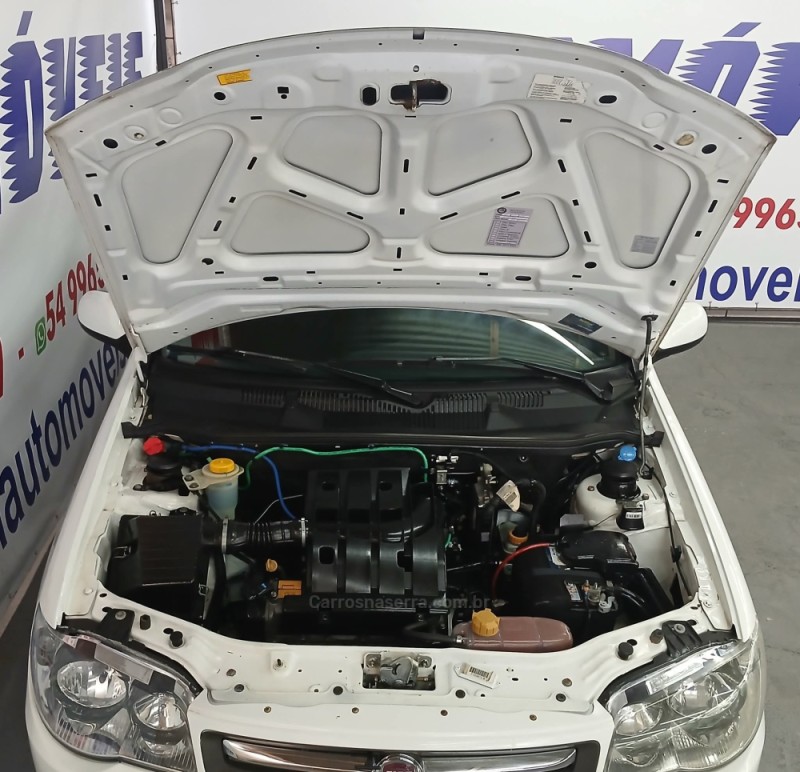 PALIO 1.0 MPI FIRE ECONOMY 8V FLEX 2P MANUAL - 2013 - CAXIAS DO SUL