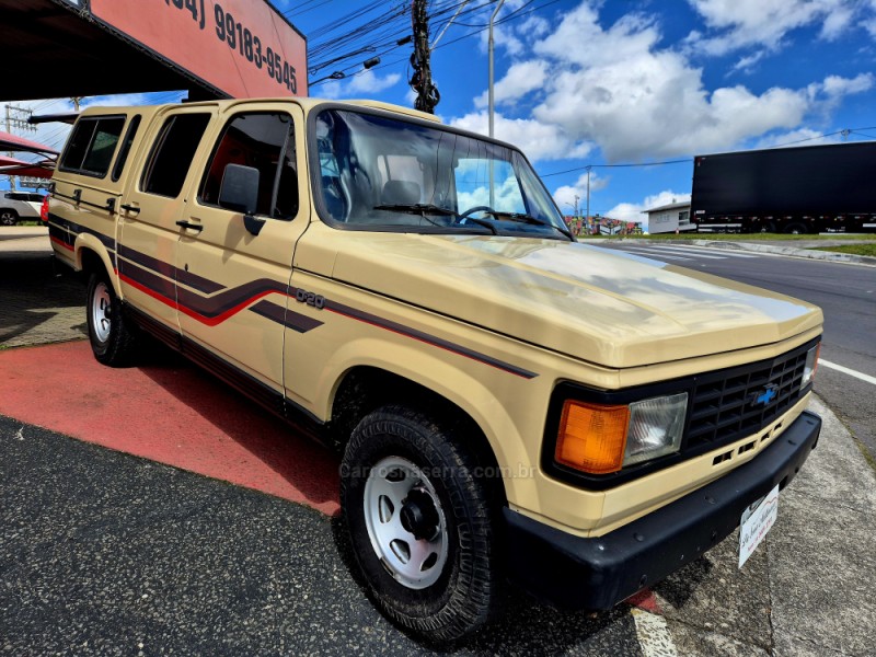 D20 4.0 CUSTOM DE LUXE CD 8V DIESEL 4P MANUAL - 1989 - FARROUPILHA