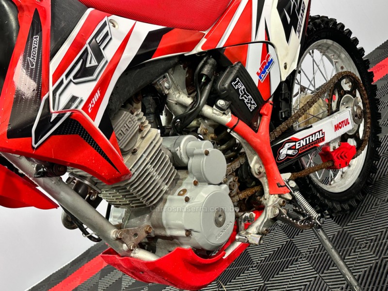 CRF 230F  - 2009 - VACARIA