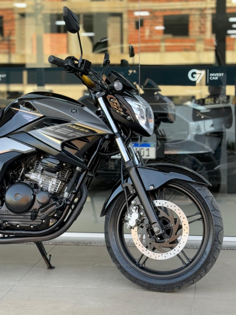FAZER YS 250 BLUEFLEX