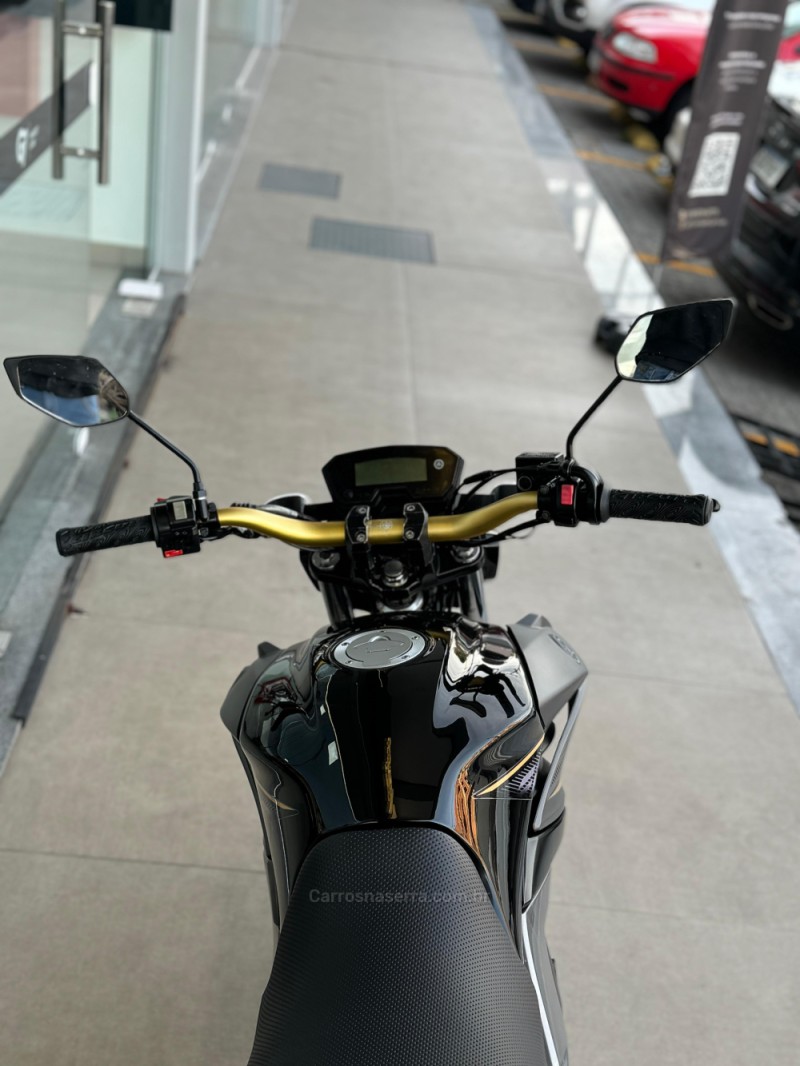 FAZER YS 250 BLUEFLEX - 2017 - IVOTI