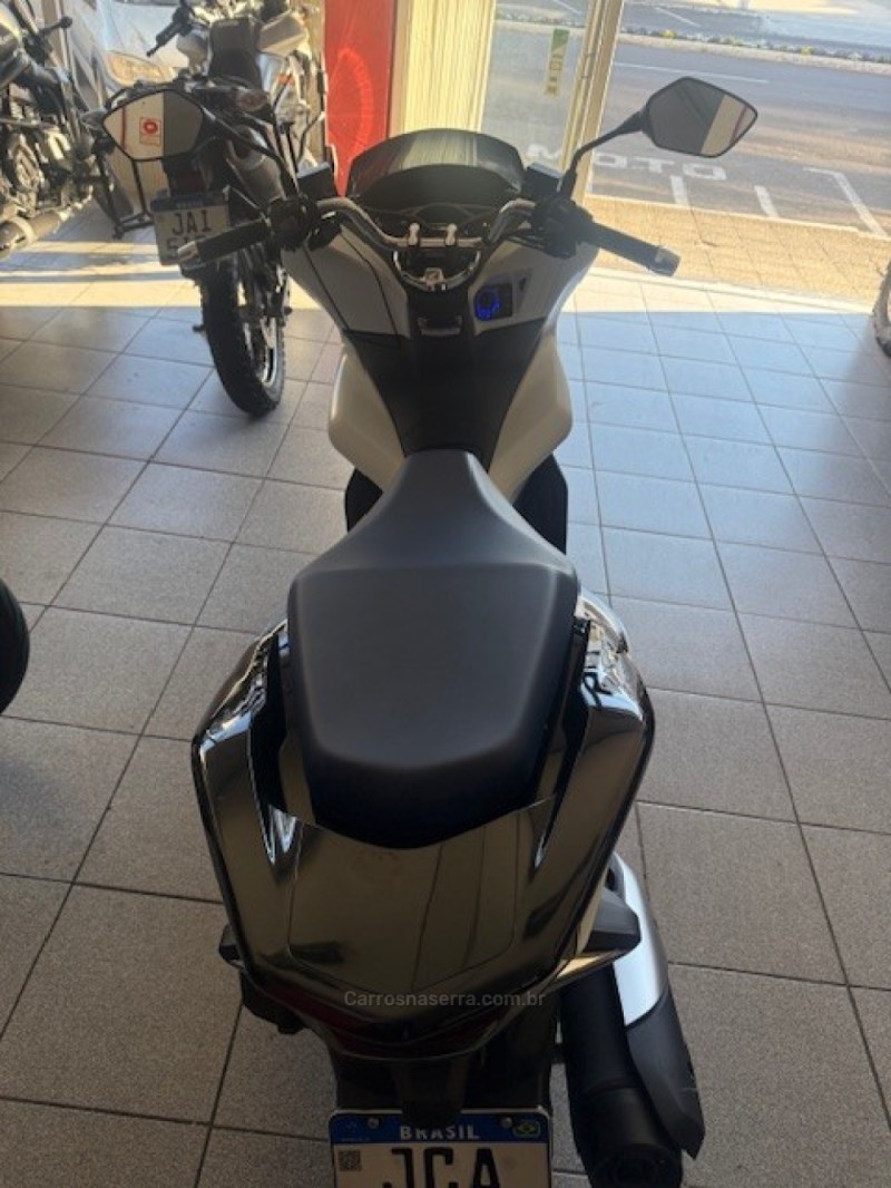 PCX 150 SPORT - 2022 - GARIBALDI