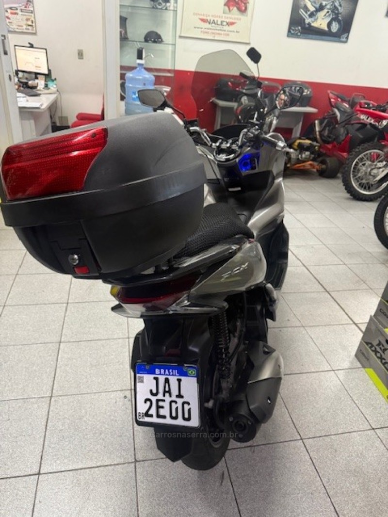 PCX 150 SPORT - 2021 - GARIBALDI