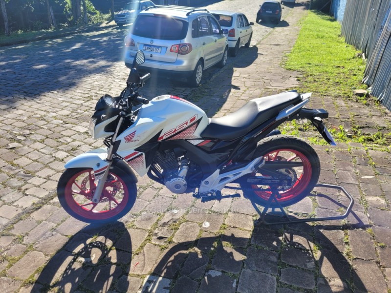CB 250F TWISTER CBS - 2022 - CAXIAS DO SUL