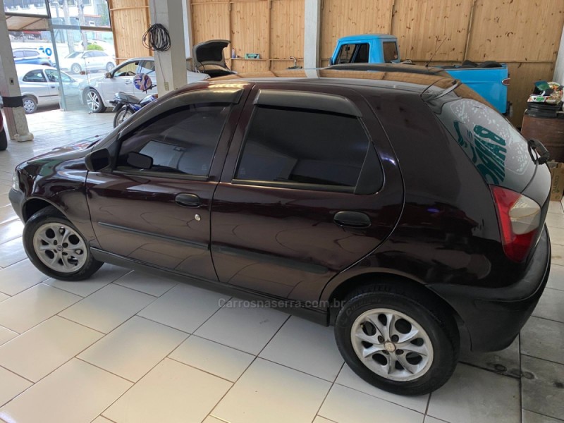 PALIO 1.0 MPI FIRE 8V FLEX 4P MANUAL - 2004 - CAXIAS DO SUL