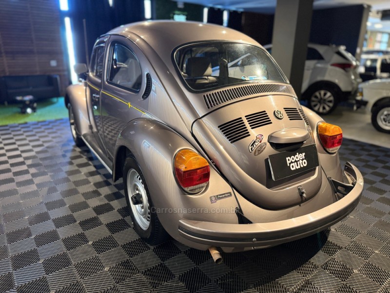 FUSCA 1.6 8V GASOLINA 2P MANUAL - 1995 - FARROUPILHA
