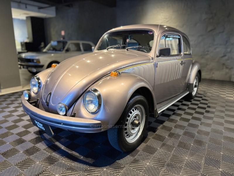 FUSCA 1.6 8V GASOLINA 2P MANUAL - 1995 - FARROUPILHA