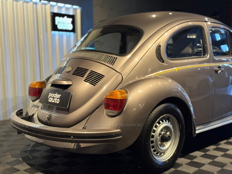 FUSCA 1.6 8V GASOLINA 2P MANUAL - 1995 - FARROUPILHA