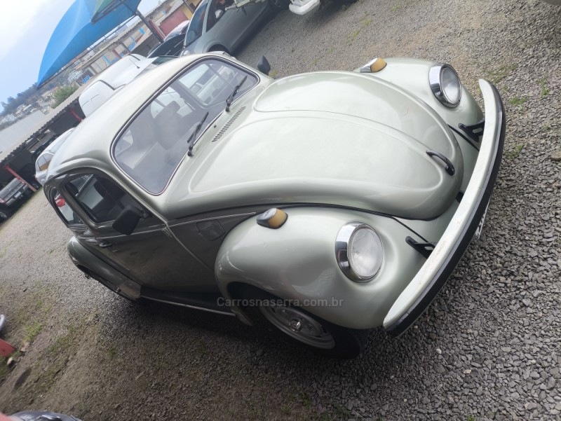 FUSCA 1.6 8V GASOLINA 2P MANUAL - 1985 - FARROUPILHA