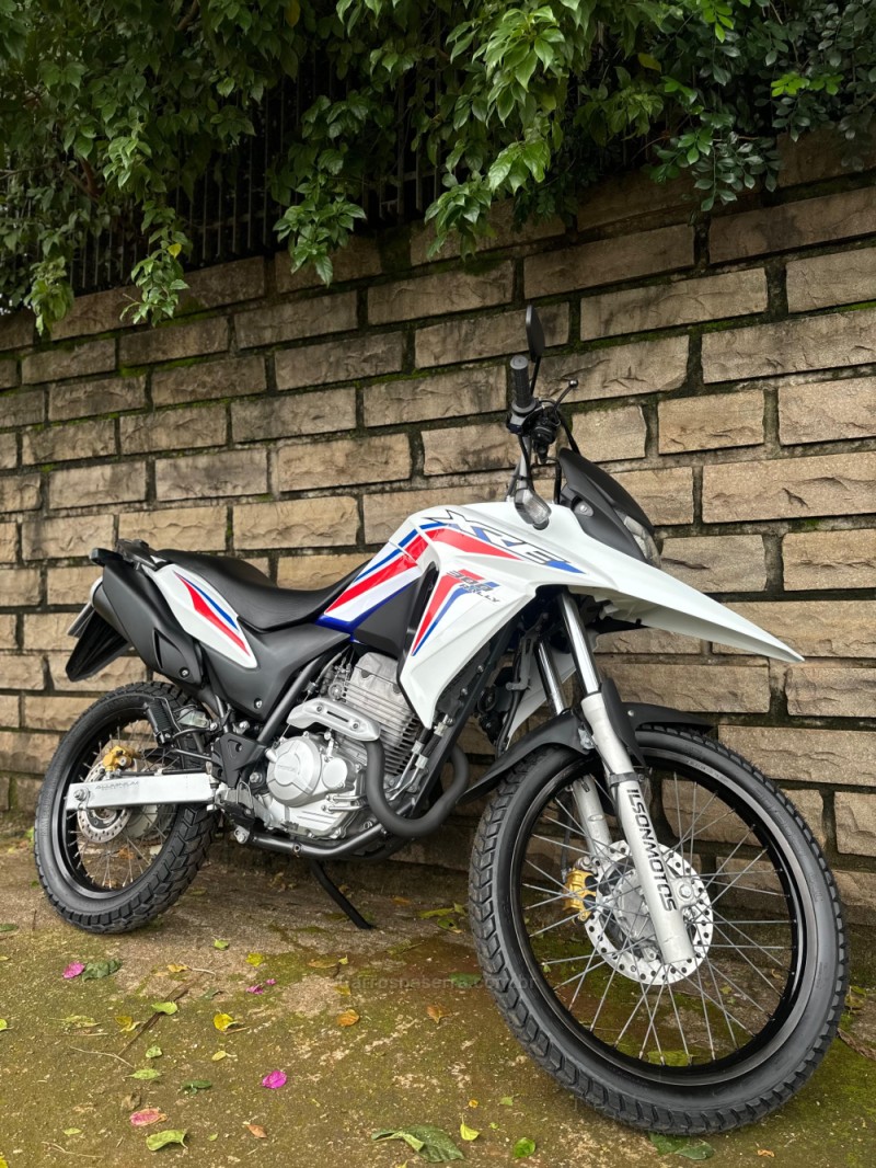 XRE 300  - 2016 - LAJEADO
