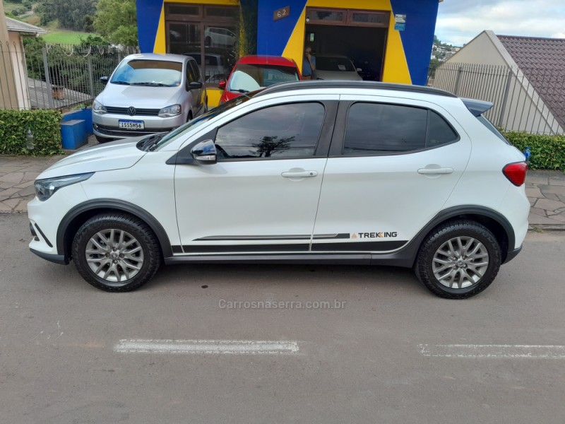ARGO 1.3 8V TREKKING FLEX 4P MANUAL - 2020 - NOVA PRATA