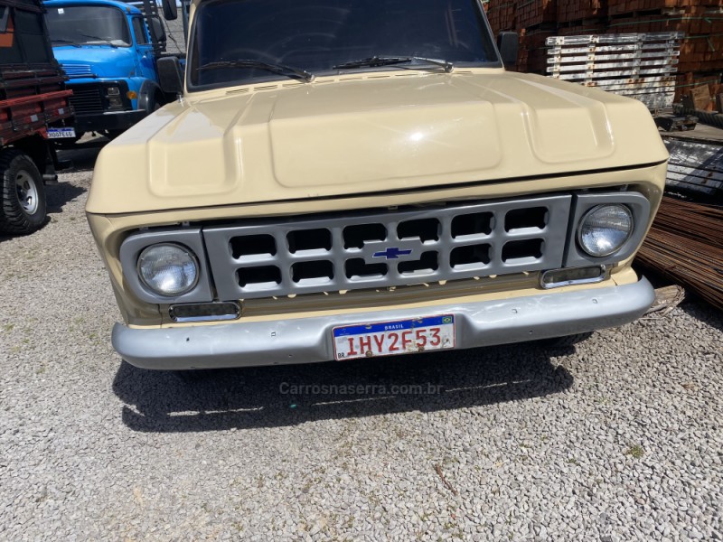 D10 4.0 CUSTOM S CS 8V DIESEL 2P MANUAL - 1979 - CAXIAS DO SUL