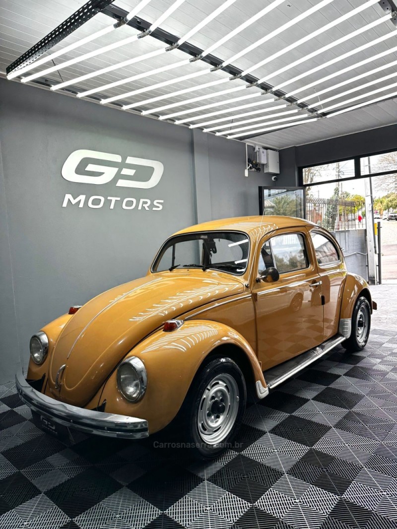 FUSCA 1.3 L 8V GASOLINA 2P MANUAL - 1978 - PASSO FUNDO