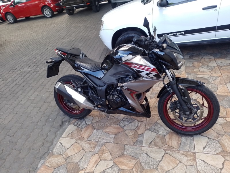 NINJA 300 ABS LIMITED EDITION