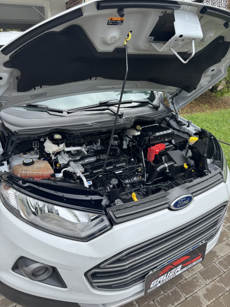 ECOSPORT 1.6 XLT FREESTYLE 8V FLEX 4P MANUAL - 2014 - ENCANTADO