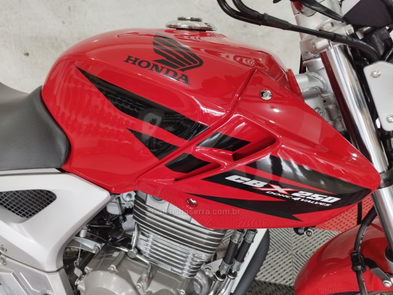 CBX 250 TWISTER  - 2008 - NOVO HAMBURGO