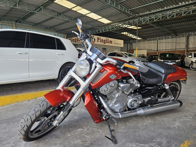 v rod muscle 2013 caxias do sul