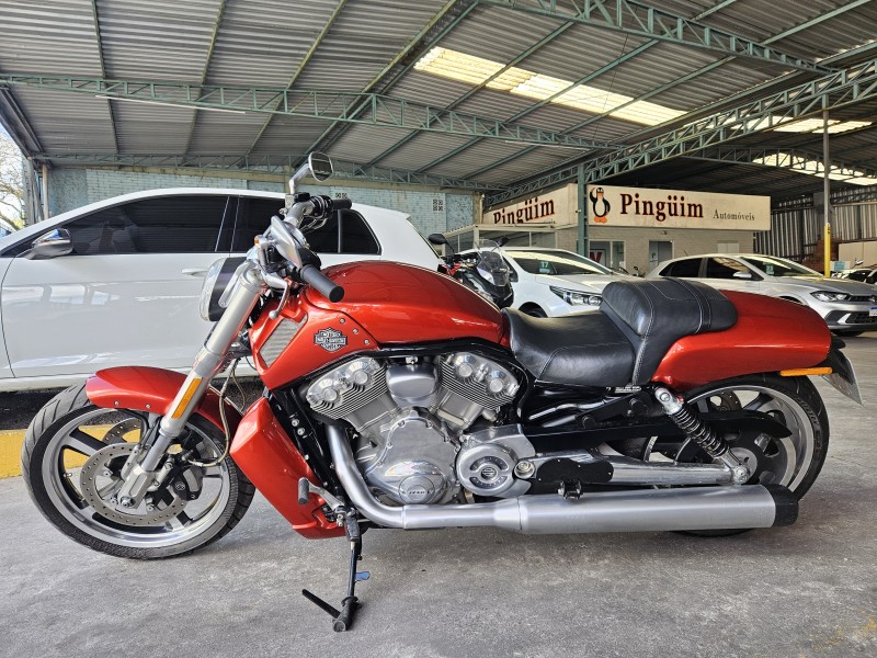 V-ROD MUSCLE  - 2013 - CAXIAS DO SUL