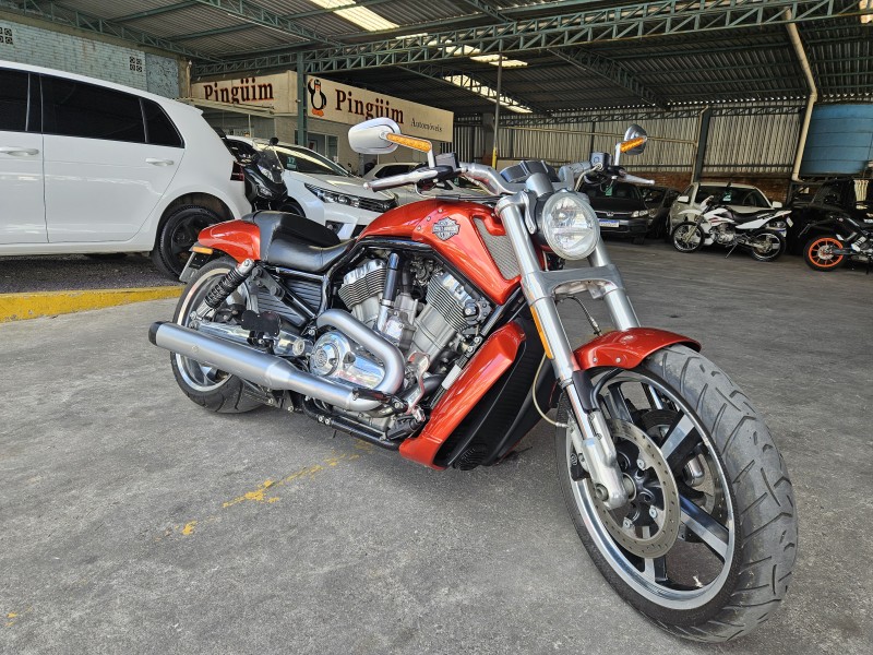 V-ROD MUSCLE  - 2013 - CAXIAS DO SUL