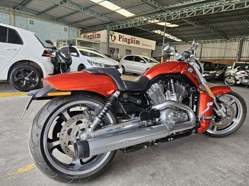 V-ROD MUSCLE  - 2013 - CAXIAS DO SUL