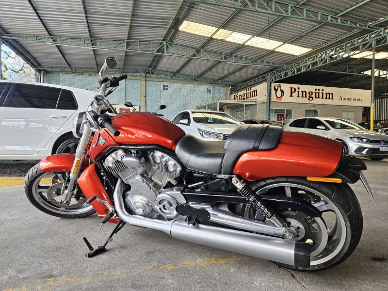 V-ROD MUSCLE  - 2013 - CAXIAS DO SUL