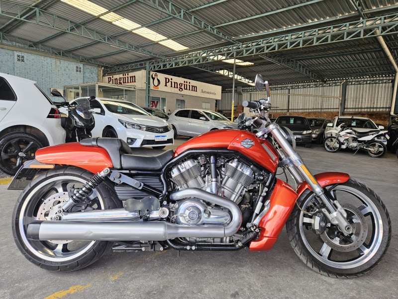V-ROD MUSCLE  - 2013 - CAXIAS DO SUL