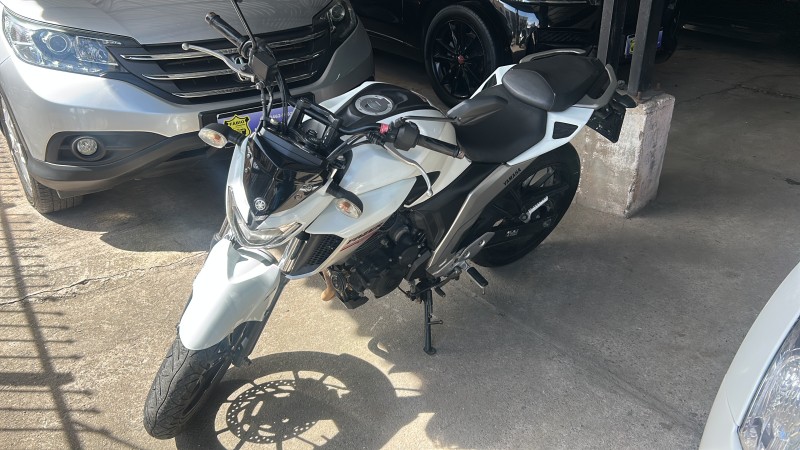 FAZER  - 2019 - GARIBALDI