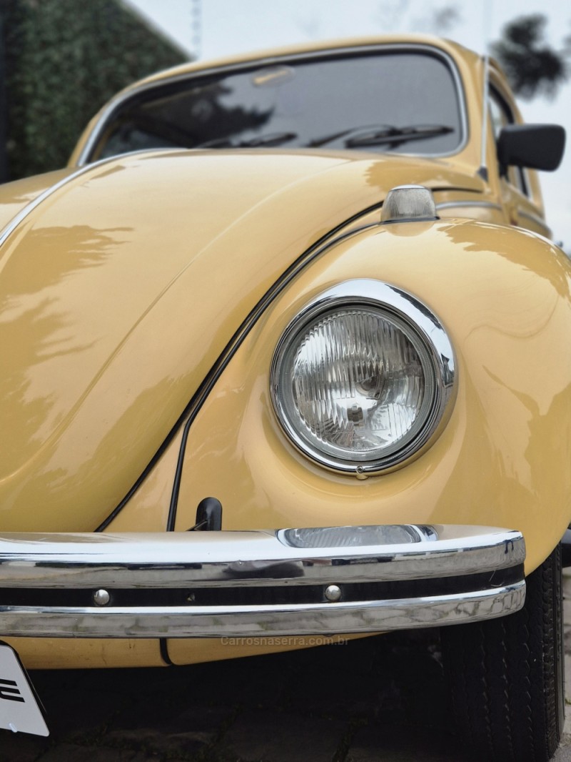 FUSCA 1300 - 1979 - CAXIAS DO SUL