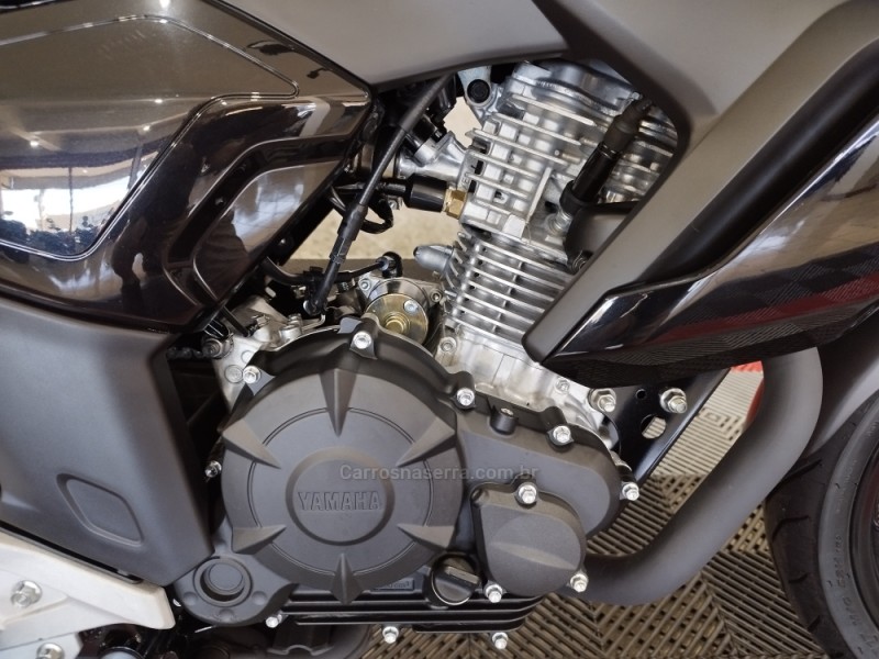 FAZER FZ15 ABS - 2024 - NOVO HAMBURGO