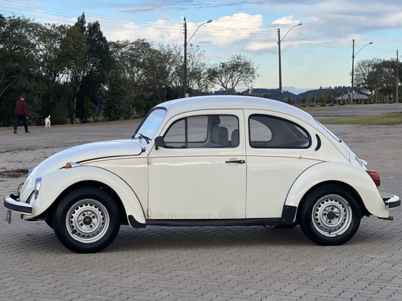 FUSCA 1.6 8V GASOLINA 2P MANUAL