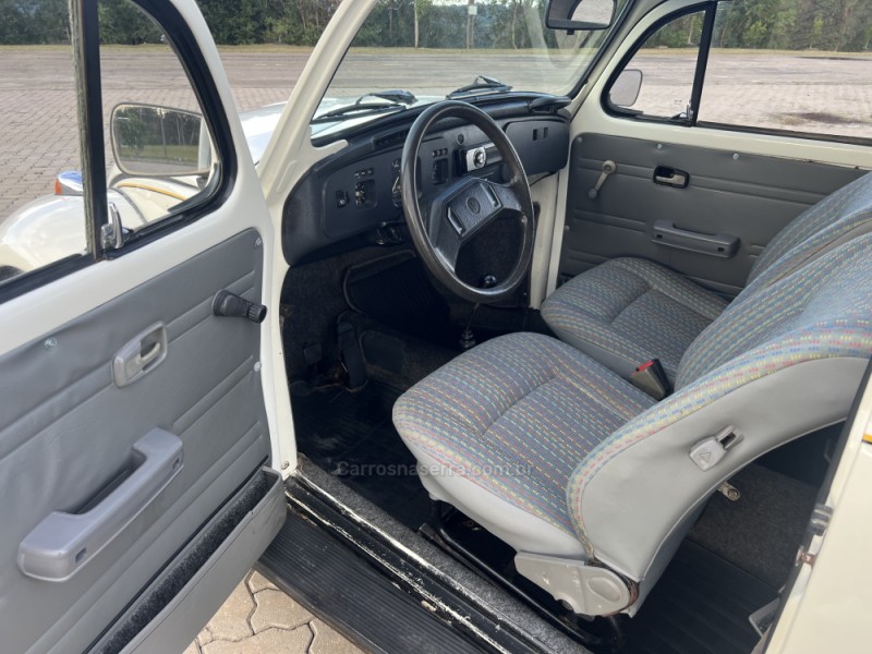 FUSCA 1.6 8V GASOLINA 2P MANUAL - 1996 - ANTôNIO PRADO