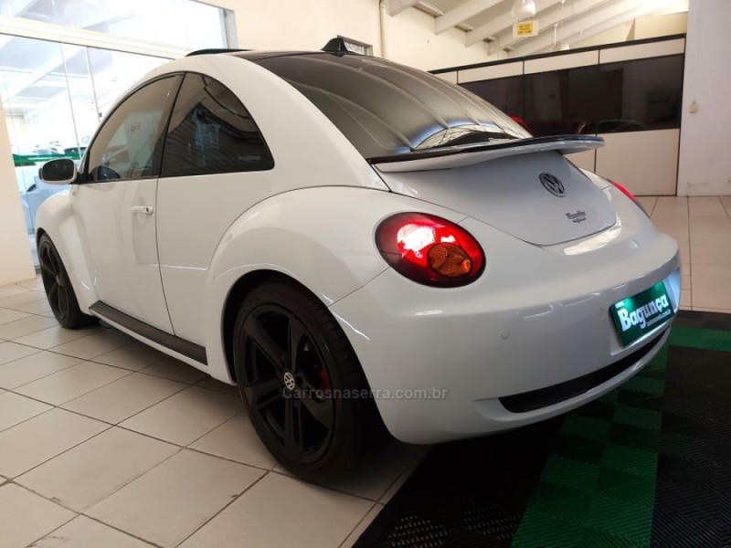 NEW BEETLE 2.0 MI 8V GASOLINA 2P MANUAL - 2010 - NOVO HAMBURGO