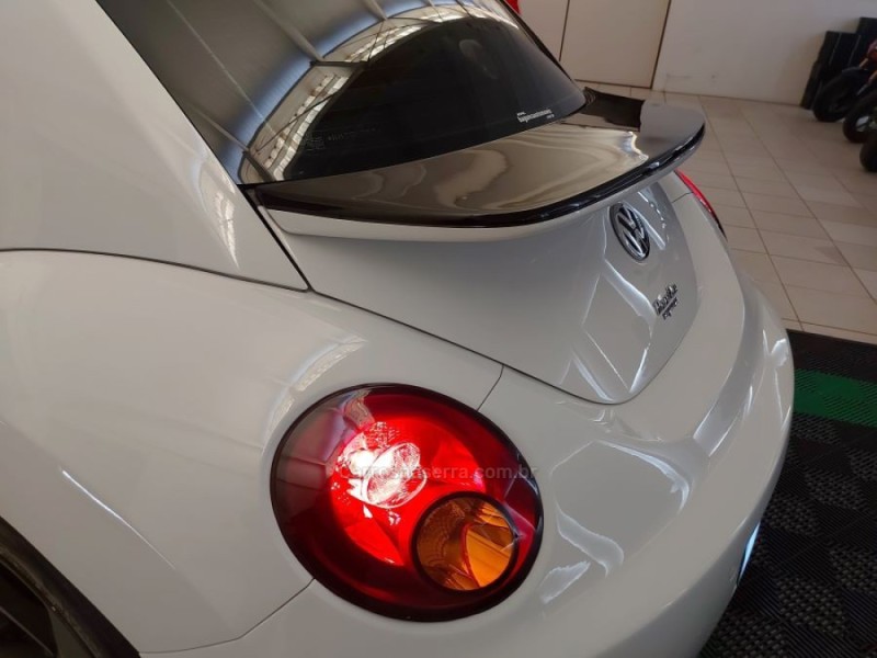 NEW BEETLE 2.0 MI 8V GASOLINA 2P MANUAL - 2010 - NOVO HAMBURGO