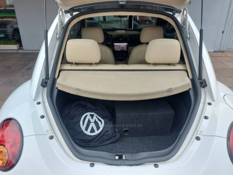 NEW BEETLE 2.0 MI 8V GASOLINA 2P MANUAL - 2010 - NOVO HAMBURGO