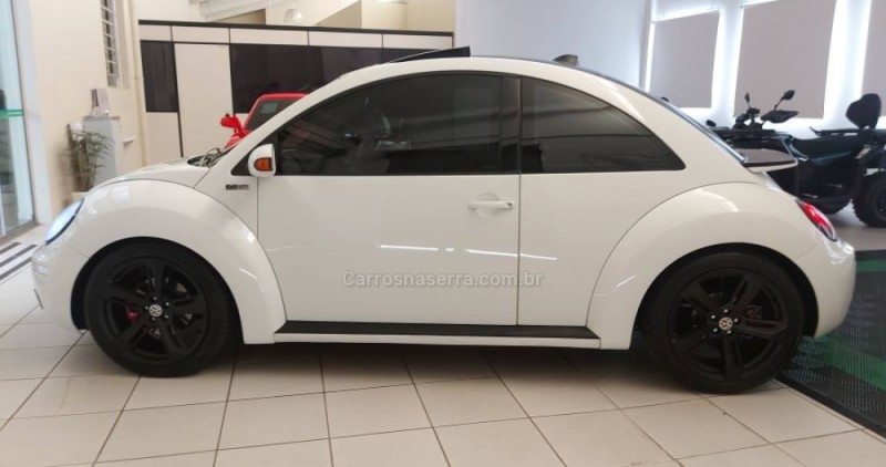 NEW BEETLE 2.0 MI 8V GASOLINA 2P MANUAL - 2010 - NOVO HAMBURGO