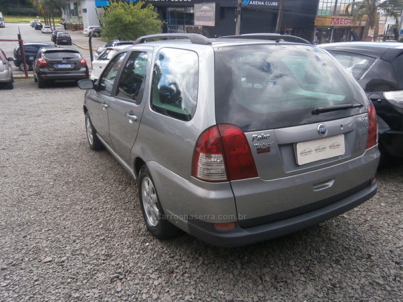PALIO 1.4 MPI FIRE ELX WEEKEND 8V FLEX 4P MANUAL - 2007 - FARROUPILHA