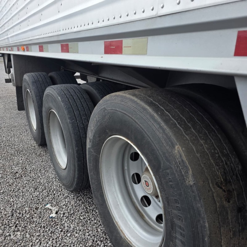 LINSHALM  - 2010 - GARIBALDI