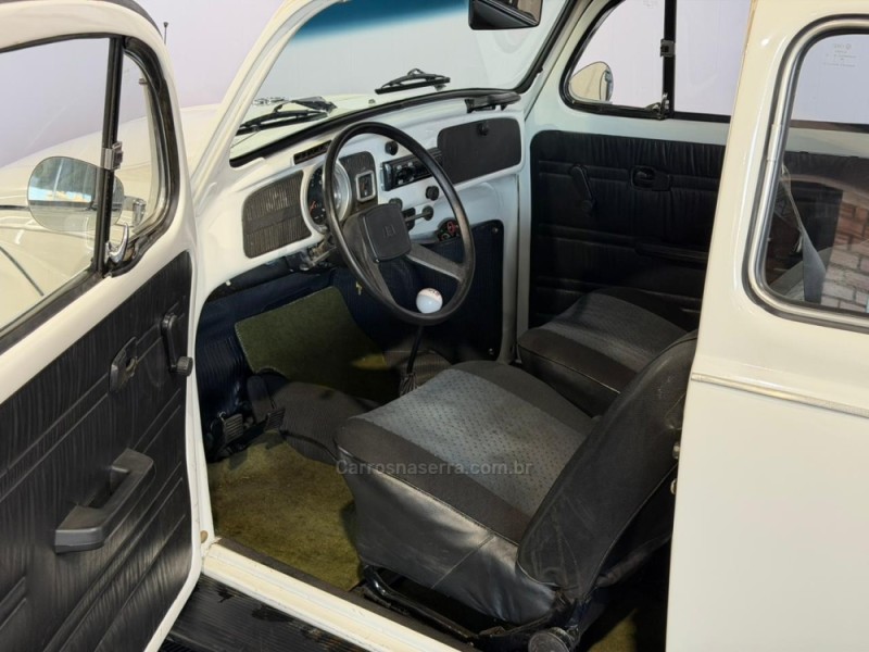 FUSCA 1300 - 1981 - VACARIA