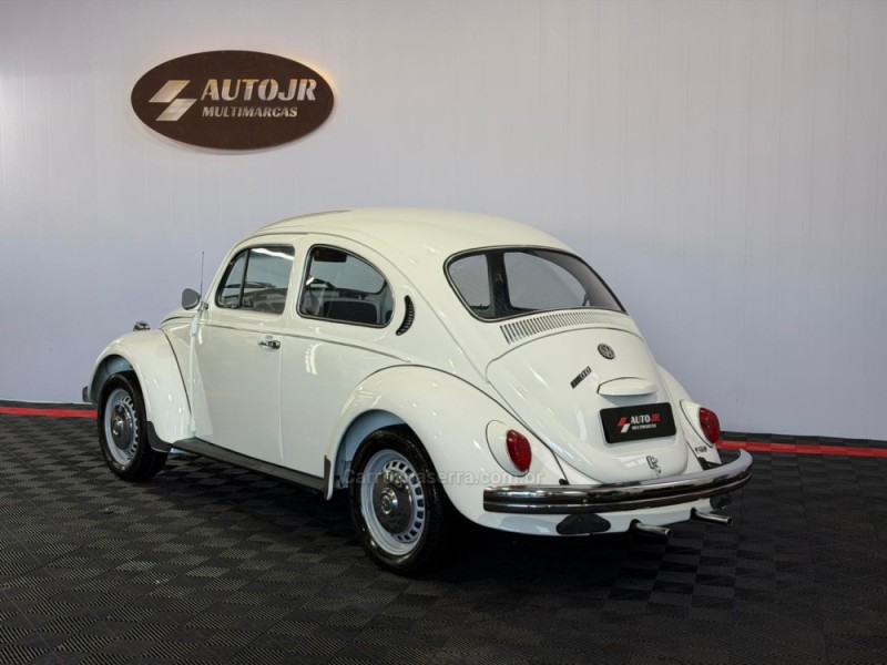 FUSCA 1300 - 1981 - VACARIA